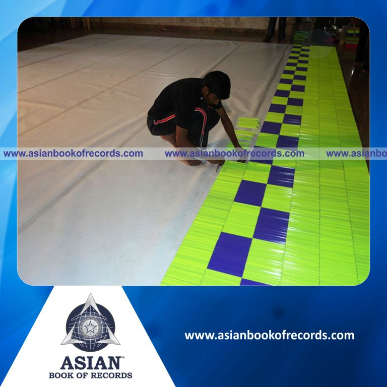 Largest Pencil Mosaic by an Individual (Male)