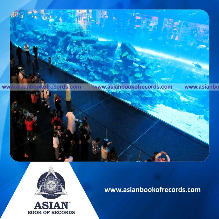 Largest Acrylic Panel