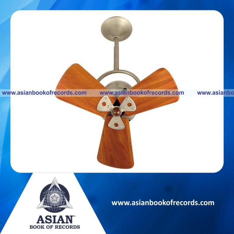 First Wooden Ceiling Fans made by an Individual (Male)