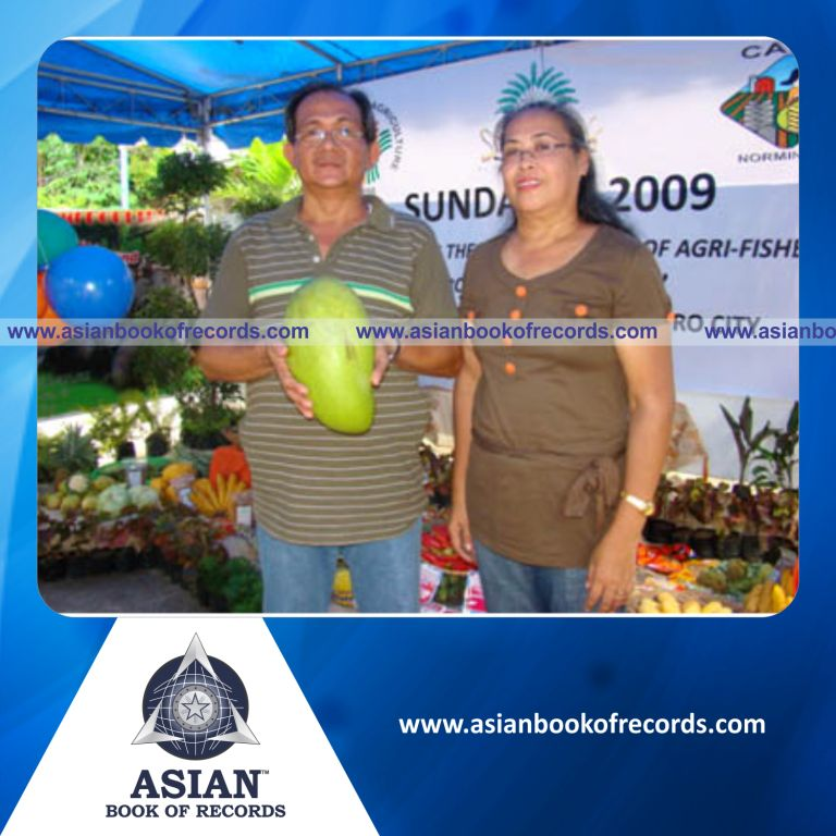 Largest Mango