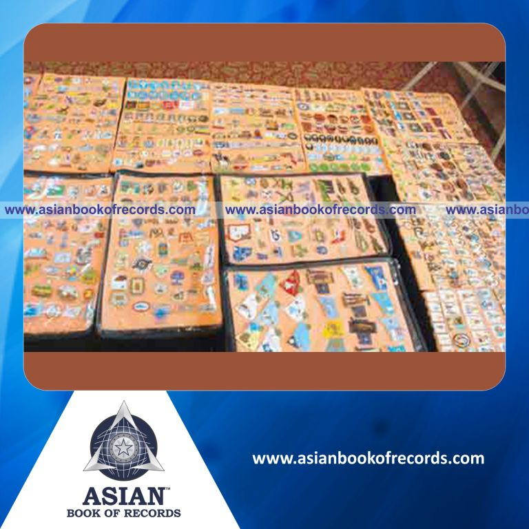 Highest Number of Lapel Pins Collected by an Individual (Male)