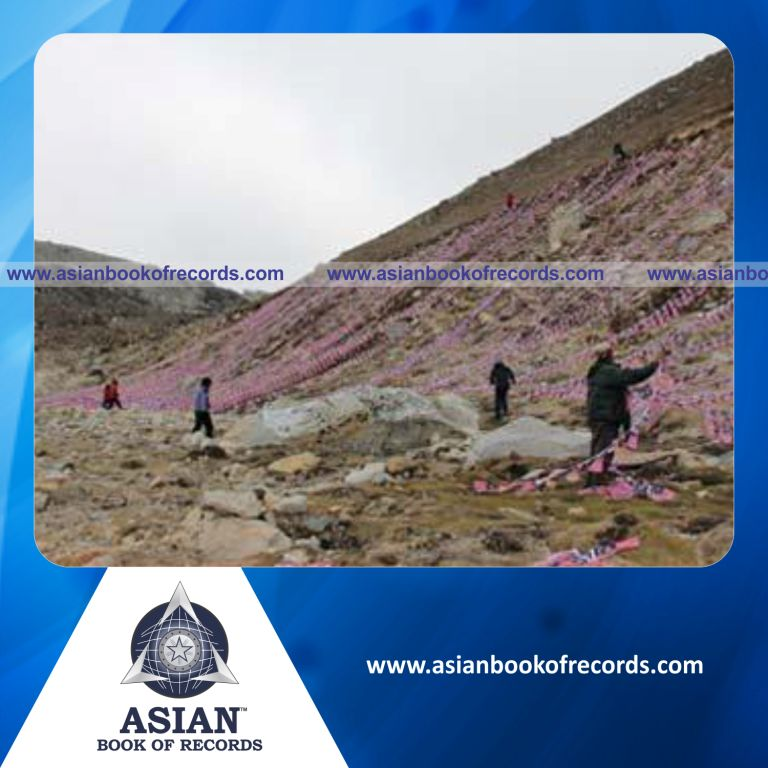 Highest Number of Jalur Gemilang Displayed on Mount Patthar