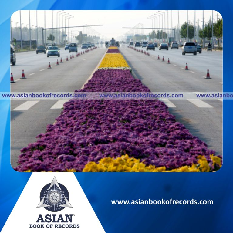 Longest Carpet made with Chrysanthemums Flowers