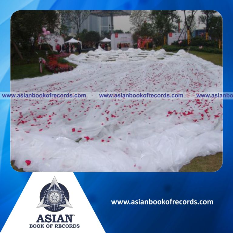 Longest Wedding Dress