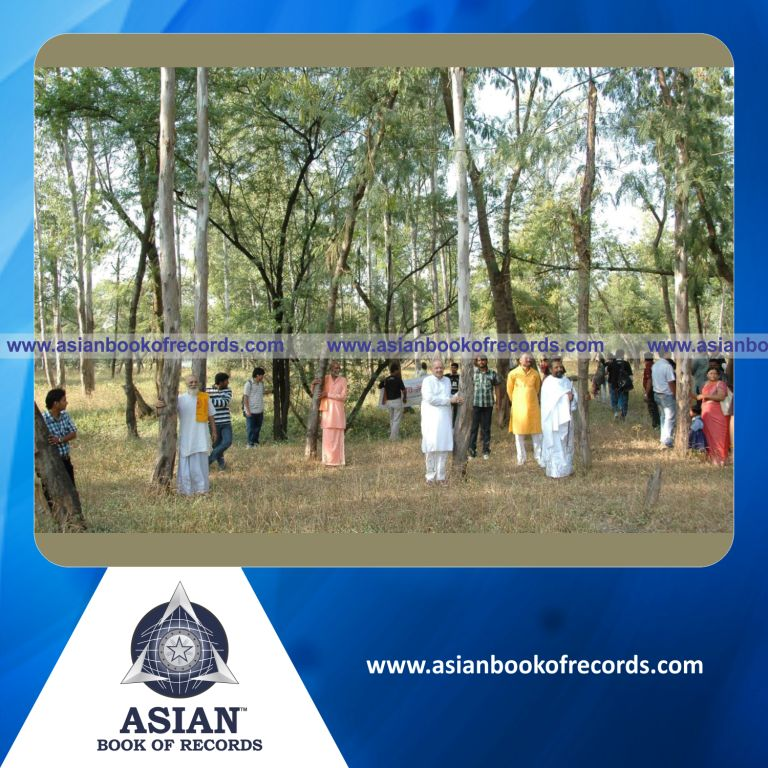 Highest Number of People Hugging Trees (Single Venue)