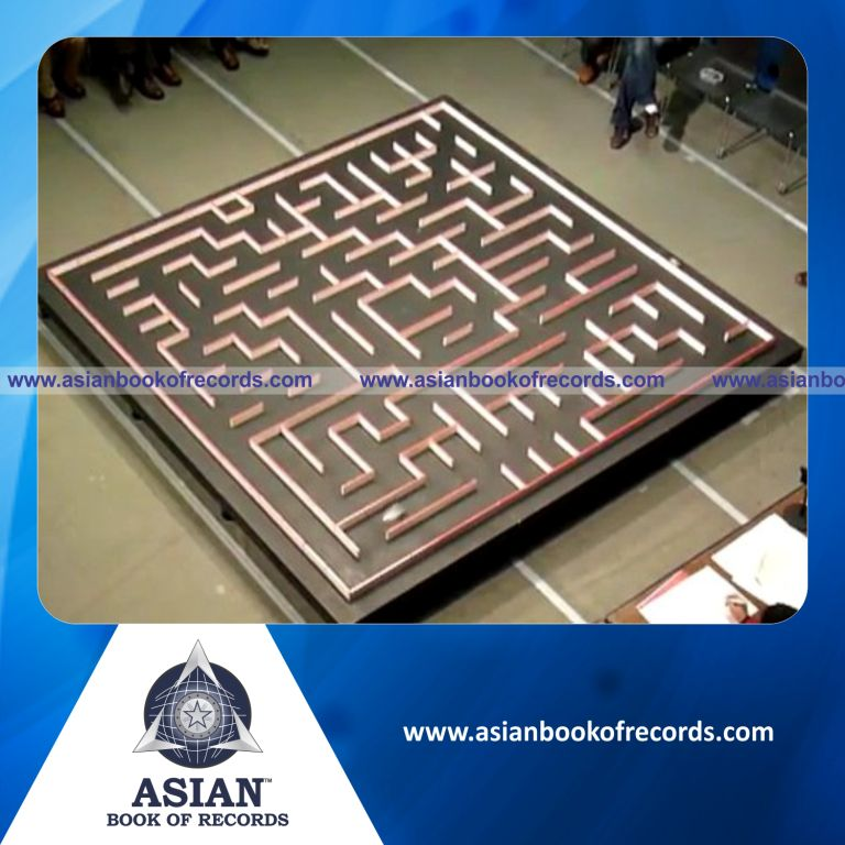 Fastest Robotic Mouse Racer