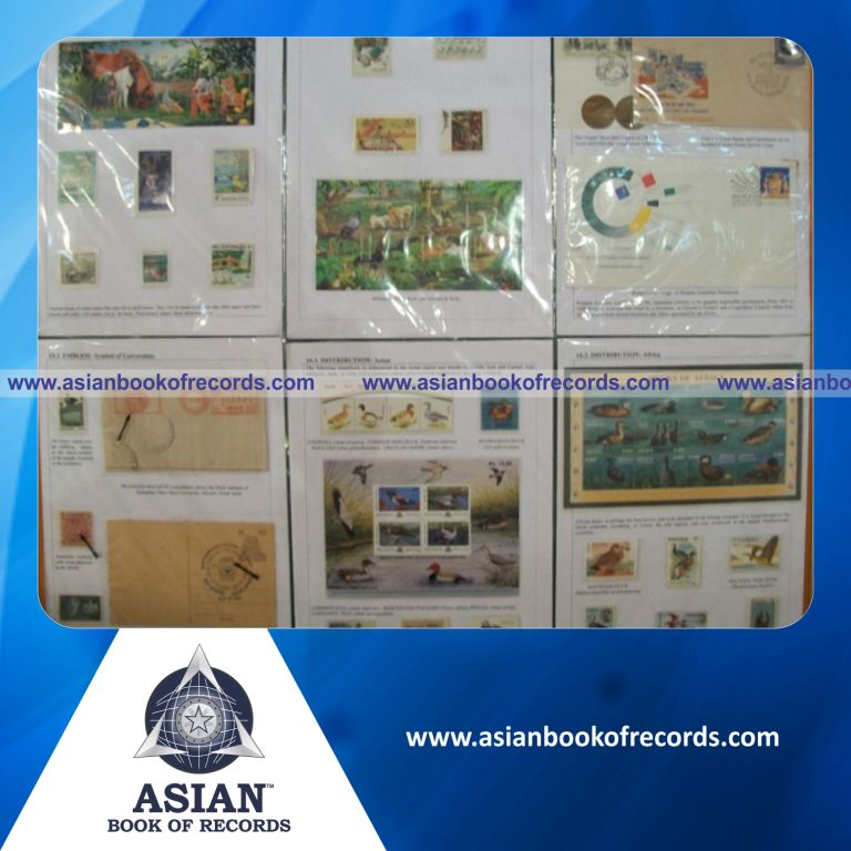 Highest Number of Duck Stamps Collected by an Individual