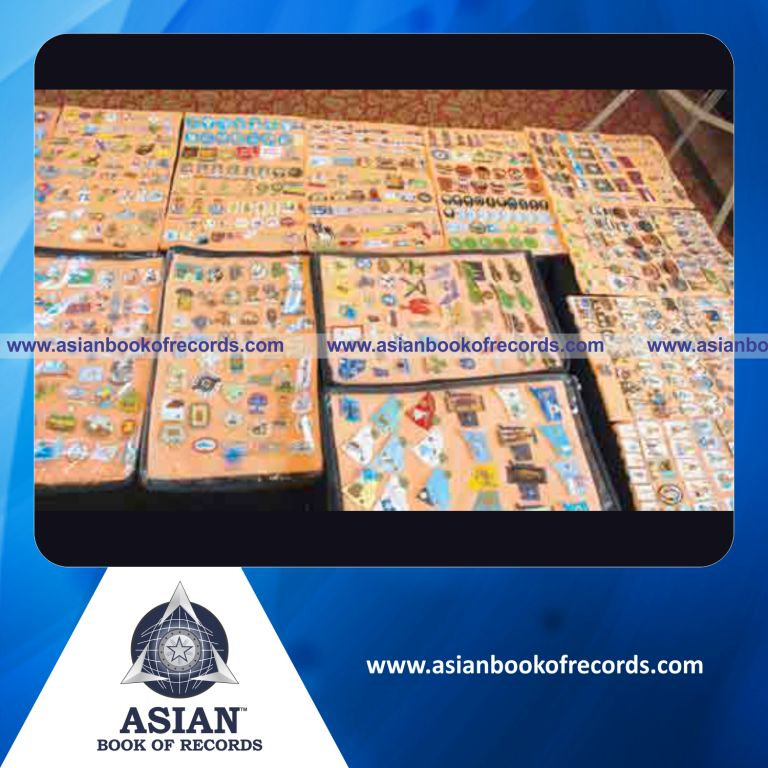Highest Number of Lapel Pins Collected by an Individual (Male)