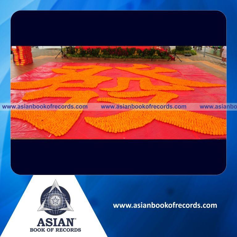Largest Chinese Character made with Oranges