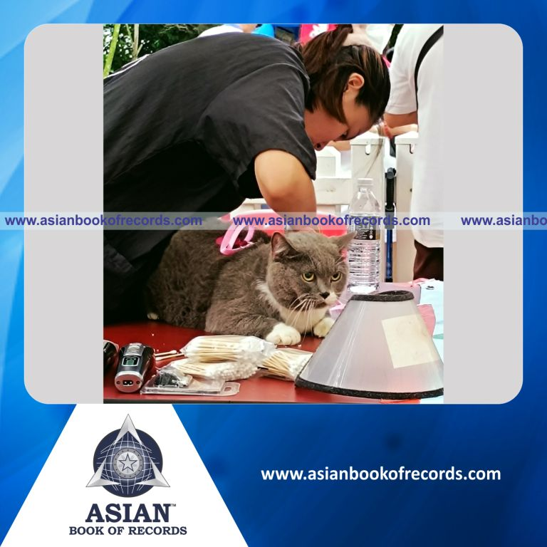 Highest Number of Pets Groomed In 2 Hours (Single Venue)