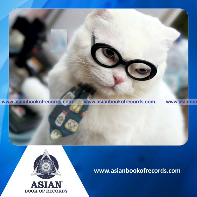 Highest Number of Cats Gathered at a Single Venue