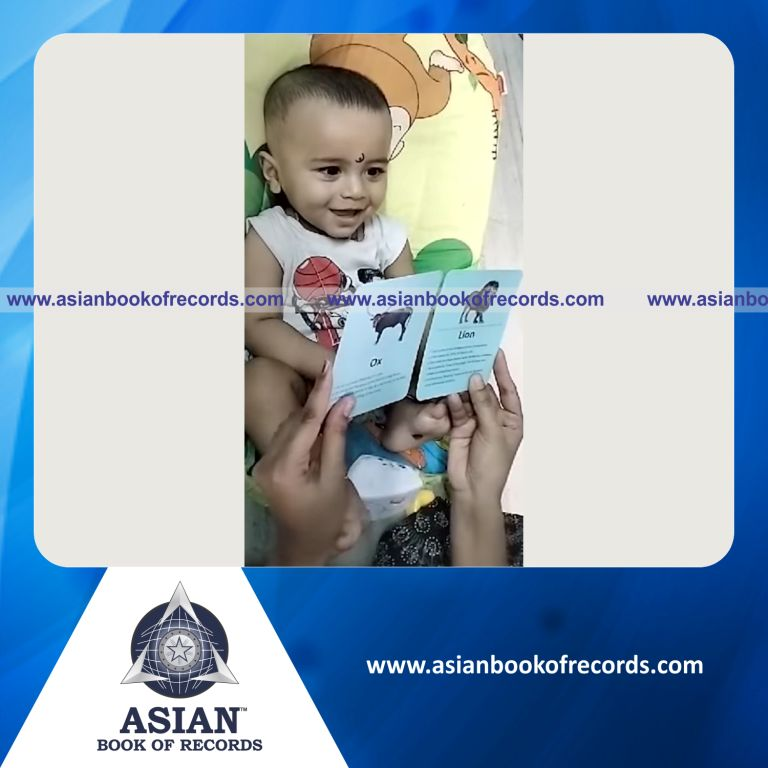 Highest Number of Flashcards Identified by an Infant