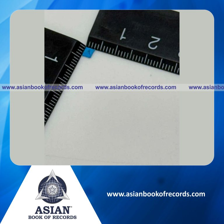 Smallest Corner Bookmark Made by an Individual (Minor-Male)