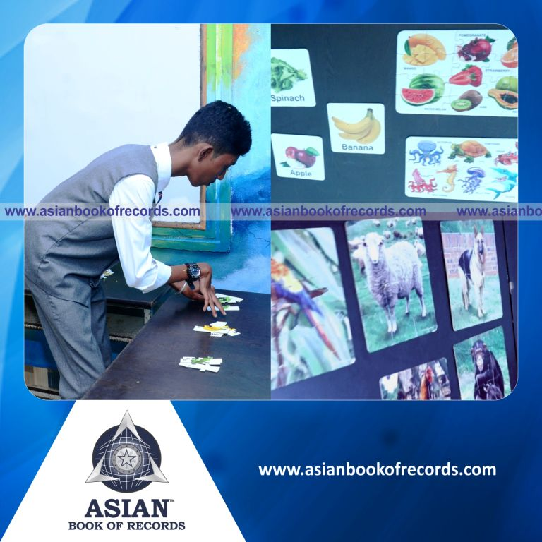 Highest Number of Picture Puzzles Solved in 60 Minutes by an Individual (Male)